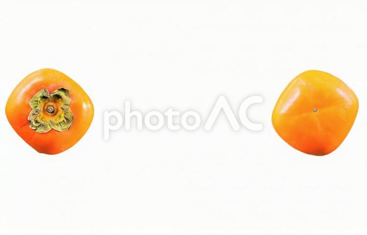 柿　裏と表　テキストなし 柿,ウラとオモテ,白バックの写真素材