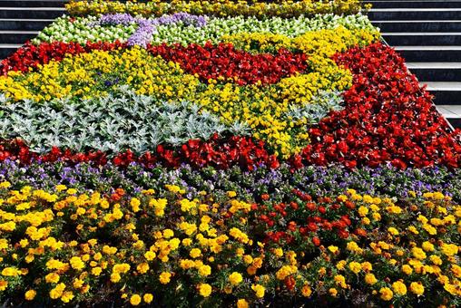 綺麗なお花畑 綺麗なお花畑の写真