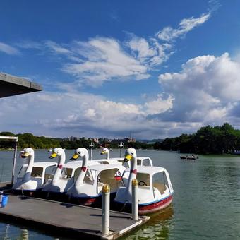 公園 公園 福岡,夏,風景の写真素材