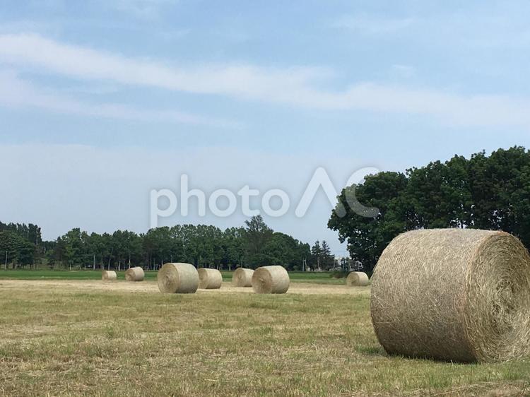 牧草ロールのある風景 牧草ロール,北海道,広いの写真素材