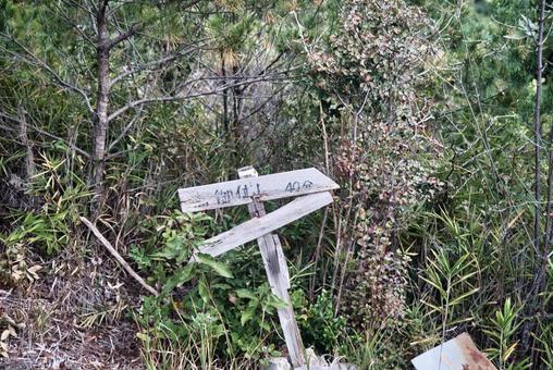 高御位山 播磨平野,山岳,平野の写真素材