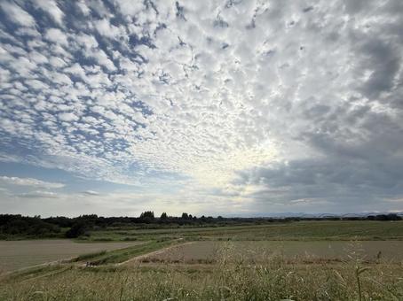 秋の空の風景 秋の空の風景 空,秋,雲の写真素材