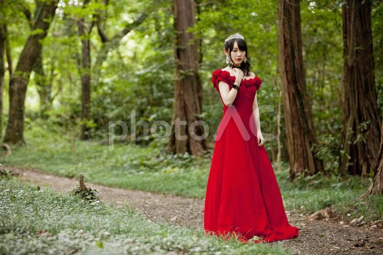 ウエディングドレスを着た女性　m066 20代,お姉さん,さわやかの写真素材