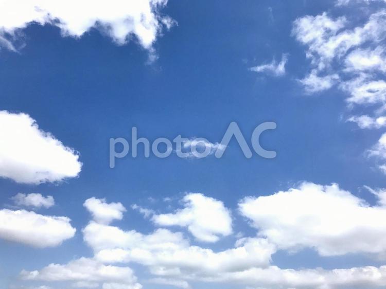 晴れた寒い冬 自然,何人もありません,空の写真素材