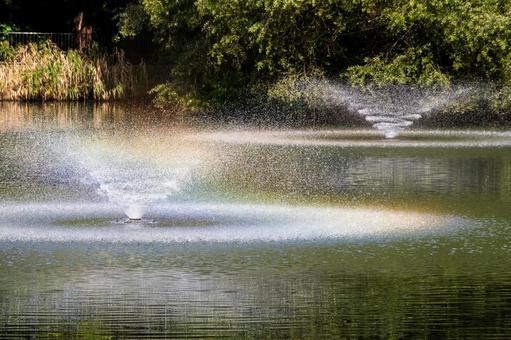 公園の噴水⑺の写真