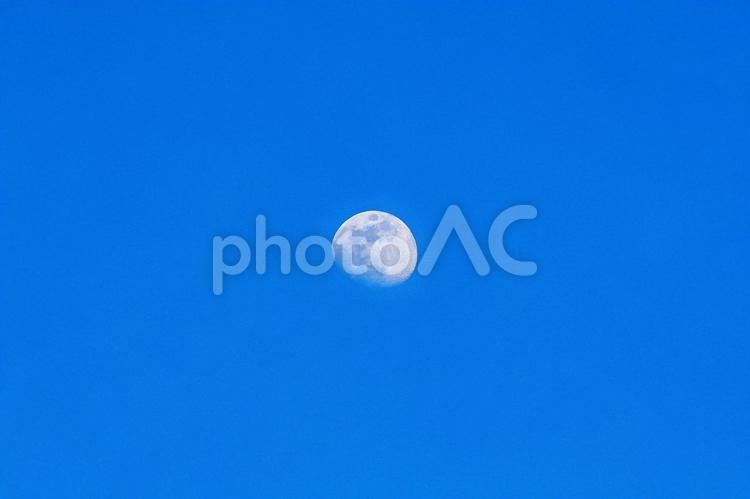 青空にぽっかり浮かぶ白昼の月 白昼の月,昼月,月の写真素材
