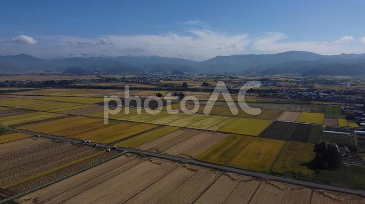 稲刈り空撮 稲刈,田んぼ,農業の写真素材