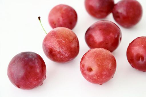 plum, JPG plum, JPG