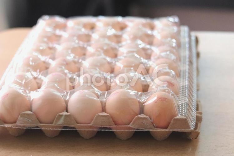 海外の卵パックの立体感ある構図  卵食材,食品,パッケージの写真素材