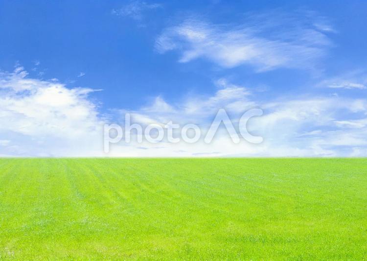 爽やかな青空と緑豊かな草原 グリーン,青空,緑の写真素材