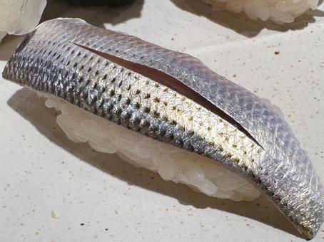 コハダ コハダ,握り,寿司の写真素材