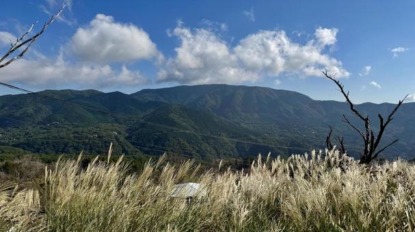 谷 谷 山,箱根,神奈川の写真素材