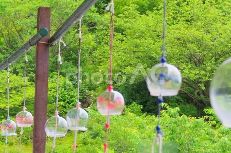 風鈴 風鈴,夏,風物詩の写真素材