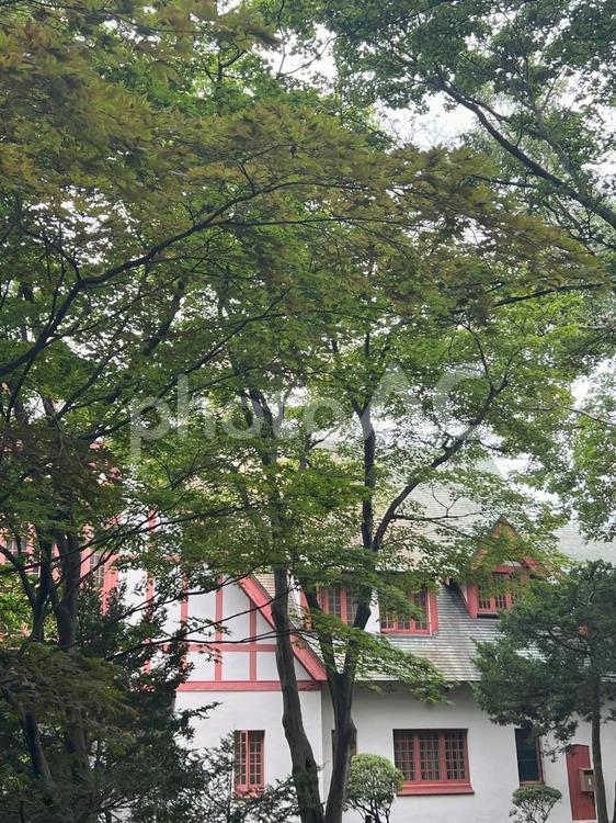 木陰の洋館　北海道知事公館 知事公館,木陰,木々の写真素材