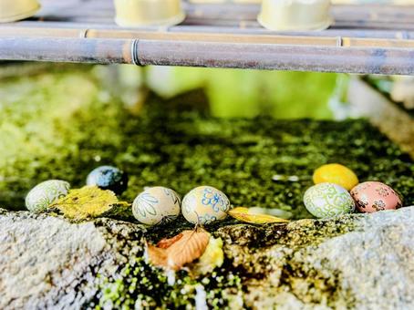 綾部八幡神社 綾部八幡神社,鳥居,参道の写真素材