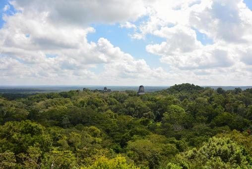 密林に浮かぶティカル遺跡 ティカル遺跡,マヤ文明,遺跡の写真素材