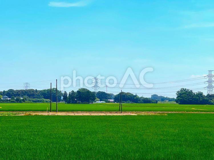 田舎の風景 田舎,田んぼ,空の写真素材