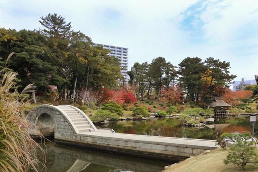 縮景園紅葉 広島県,広島市,名勝の写真素材