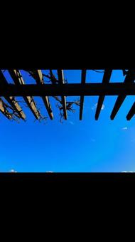 公園のパーゴラ パーゴラ,休憩所,公園の写真素材