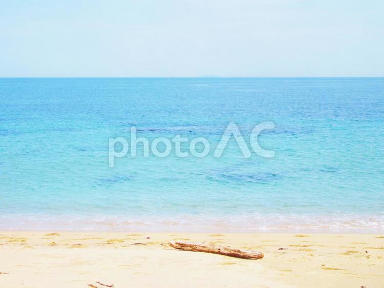 木の棒と砂浜 海,砂浜,ビーチの写真素材