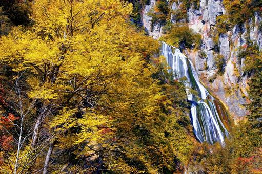 羽衣の滝  羽衣の滝,天人峡,天人峡温泉の写真素材