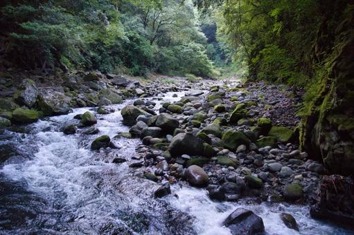 岩戸川 宮崎県 高千穂 岩戸川 宮崎県 高千穂 岩戸川,宮崎県,高千穂の写真素材