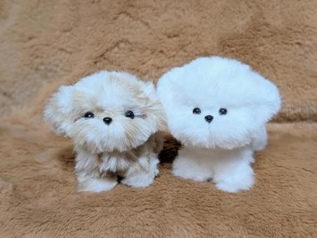 モールドール モールドール ぬいぐるみ,モールドール,犬の写真素材