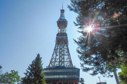 太陽の木漏れ日とさっぽろテレビ塔 木々,木,樹木の写真素材
