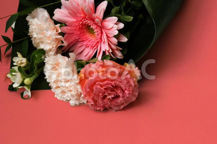 カーネーションとガーベラの花束 カーネーション,ガーベラ,花束の写真素材