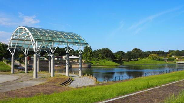初秋のひたち海浜公園・西池＆水のステージ 初秋,国営ひたち海浜公園,西池の写真素材