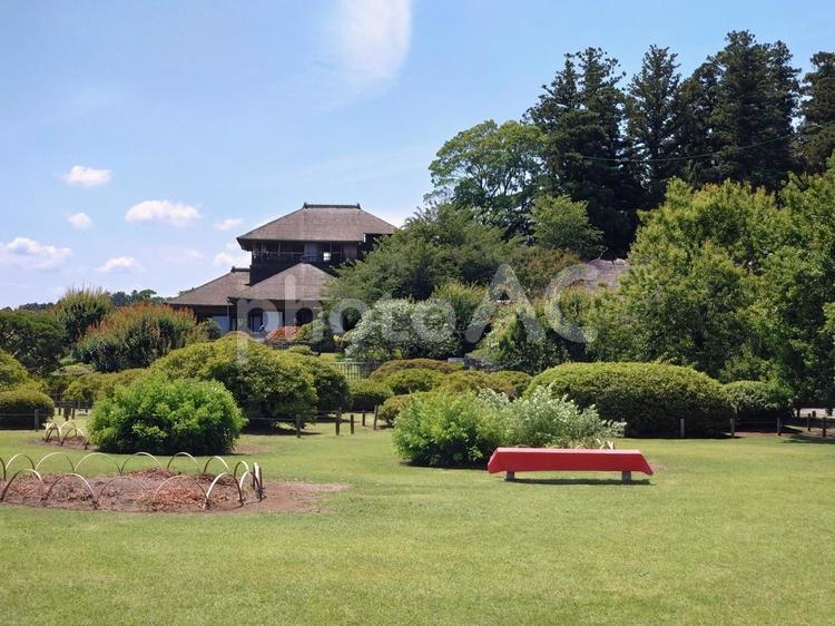 真夏の偕楽園 偕楽園,水戸,好文亭の写真素材
