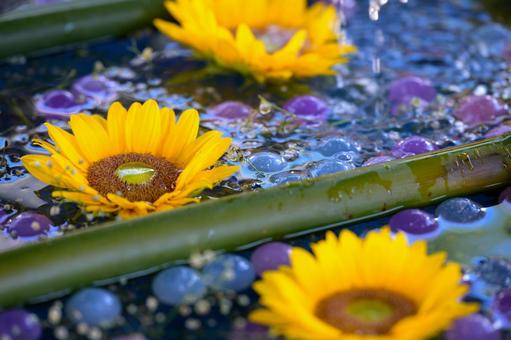 夏の柳谷観音の花手水 夏の柳谷観音の花手水の写真