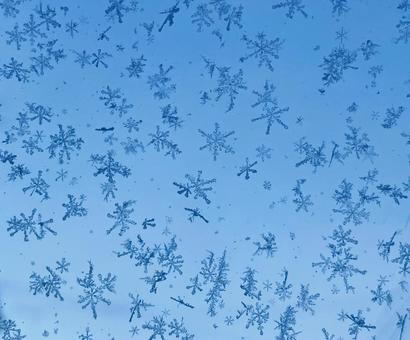 ガラスについた雪の結晶 ガラスについた雪の結晶 雪の結晶,冬,結晶の写真素材