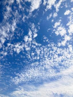 秋空 秋空の写真