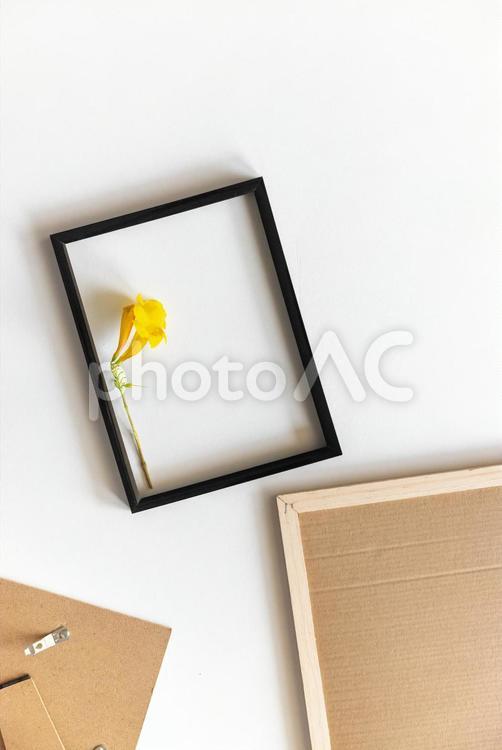 黒いフレームに入った花とコルクボード モックアップ,物撮り,コルクボードの写真素材