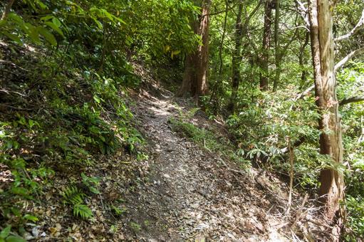 Photo, mount ishinomaki, hiking, trekking, 