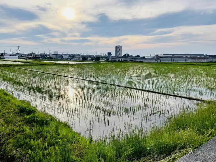夕焼けの田んぼ　夕暮れ 田んぼ,雲,夕方の写真素材
