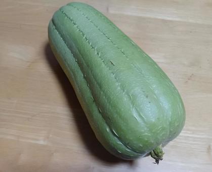 サラダヘチマ サラダヘチマ,ヘチマ,野菜の写真素材