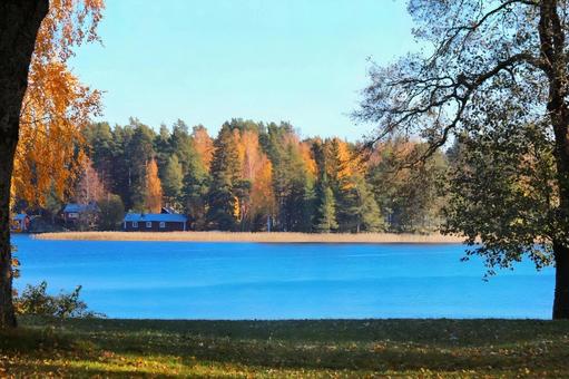 北欧の秋 美しい紅葉と湖 北欧の秋 美しい紅葉と湖 紅葉,湖,秋の写真素材