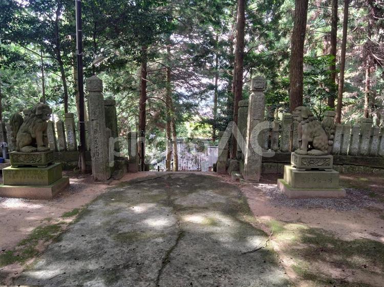 狛犬様のある風景 狛犬,お社,参拝の写真素材