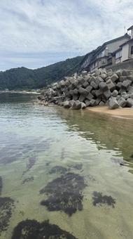 新潟県の綺麗な海1 新潟県の綺麗な海1 新潟県,新潟,海の写真素材