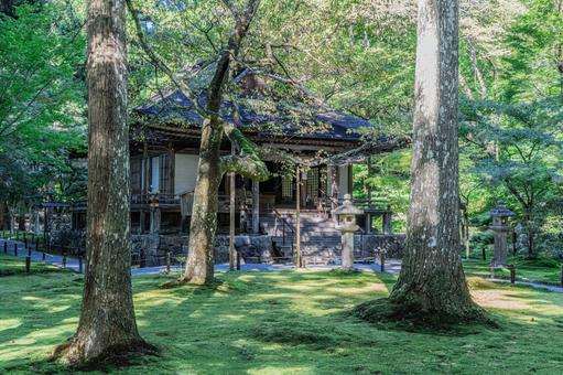 京都 大原三千院 往生極楽院 京都 大原三千院 往生極楽院 三千院,門跡寺院,大原の写真素材