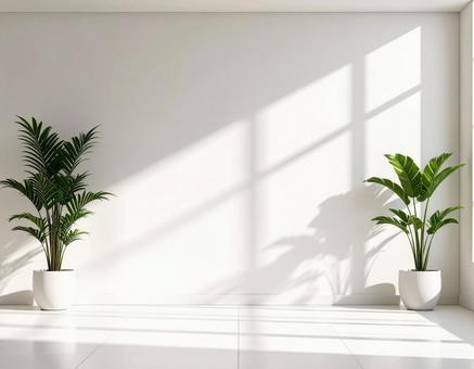 白い部屋と2つの観葉植物 白い部屋と2つの観葉植物の写真