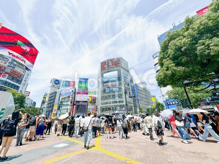 夏の渋谷スクランブル交差点、ハチ公口付近 交差点,スクランブル交差点,渋谷駅前の写真素材