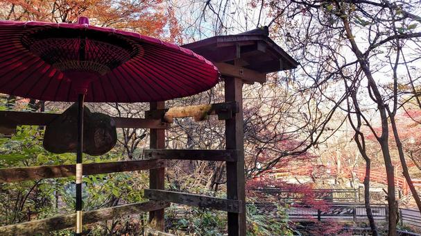 伊香保湯元不動像からの眺め 伊香保湯元不動像からの眺めの写真