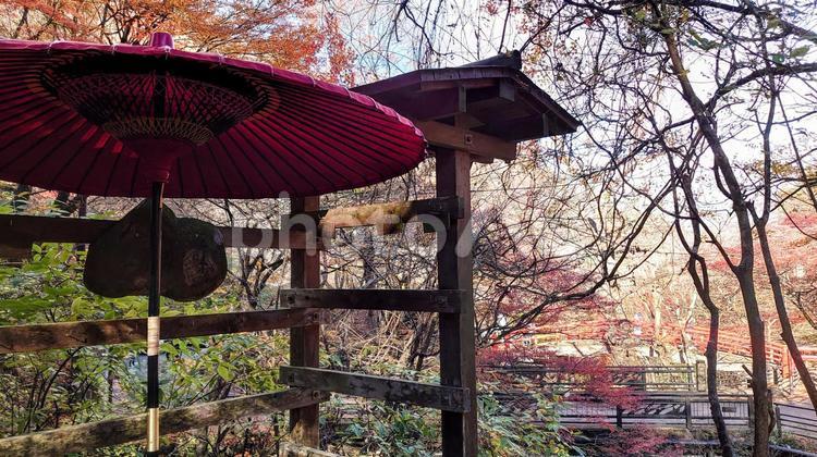 伊香保湯元不動像からの眺め 伊香保湯元不動像,隻腕不動尊,河鹿橋の写真素材