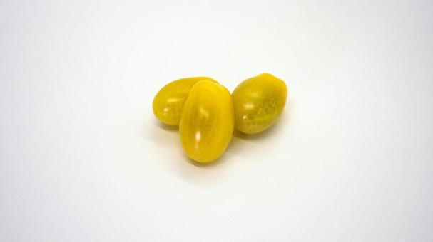 사진, 화려한 토마토, 방울 토마토, 야채, 