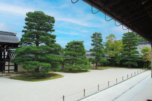 嵐山 天龍寺 9053 嵐山 天龍寺 9053の写真