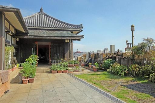 専修院(豊島) 専修院(豊島) 専修院,浄土宗,阿弥陀如来坐像の写真素材