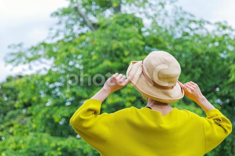 麦わら帽子を被った女性 女性,後ろ姿,麦わら帽子の写真素材